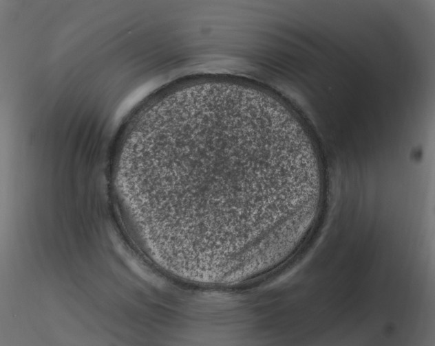 X0000116611114200912312112