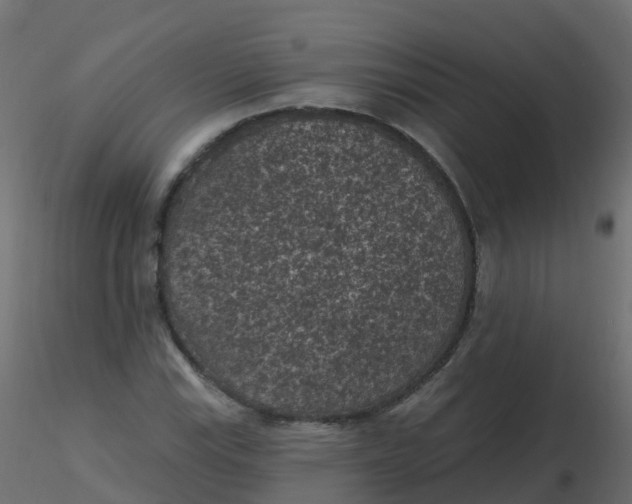 X0000116611115200912312112