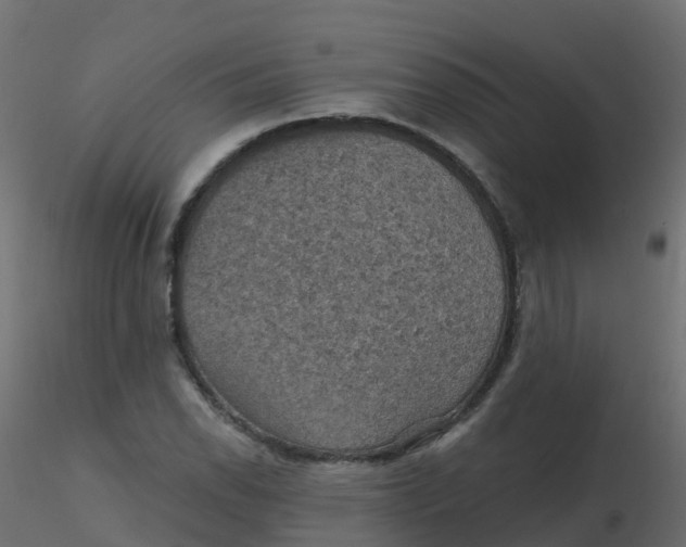 X0000116611118200912312112