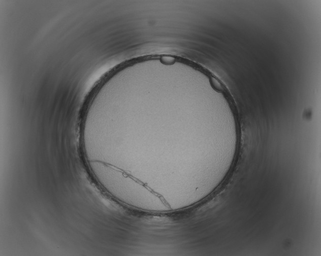 X0000116611119200912312112