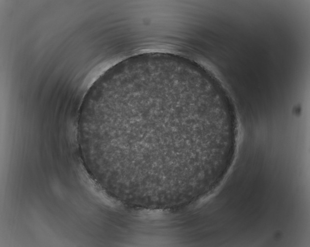 X0000116611121200912312112