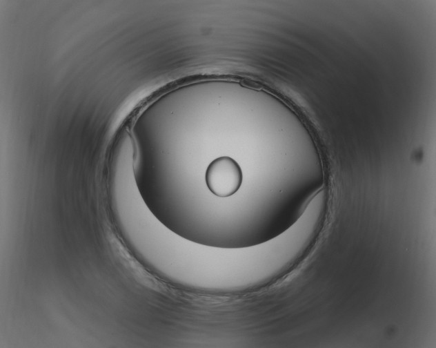 X0000116611122200912312112