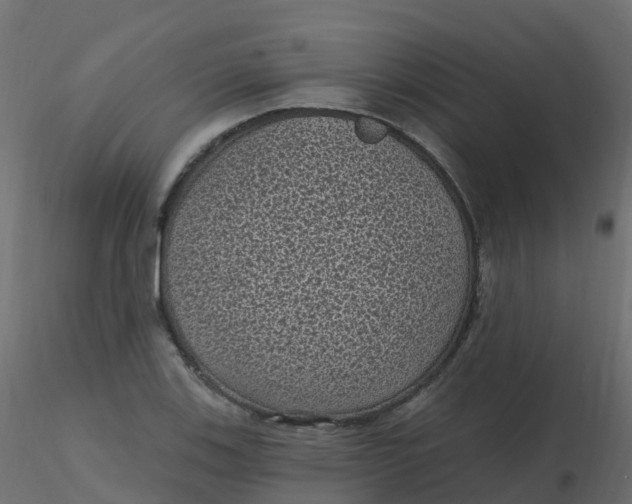 X0000116611123200912312112