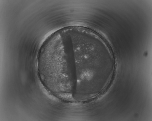 X0000116611125200912312112