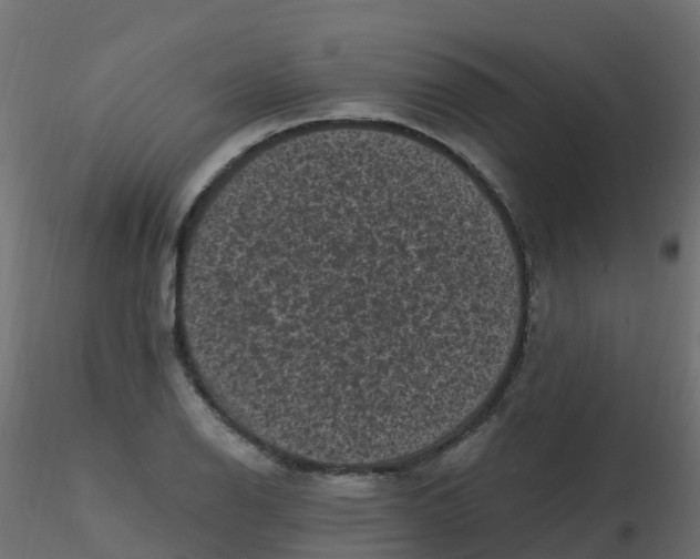 X0000116611126200912312112