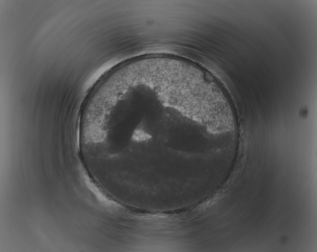 X0000116611127200912312112