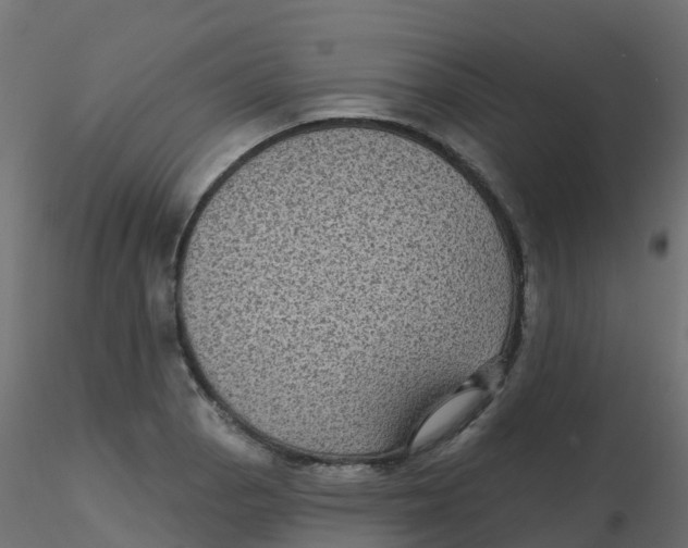 X0000116611129200912312112