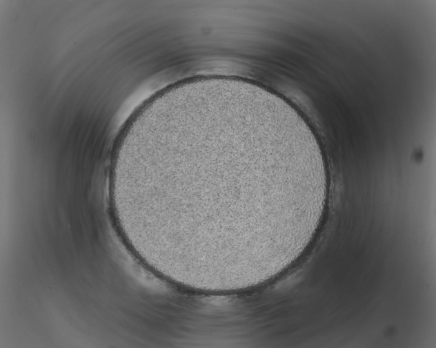 X0000116611130200912312112