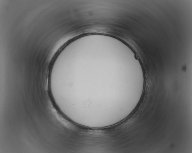 X0000116611131200912312112