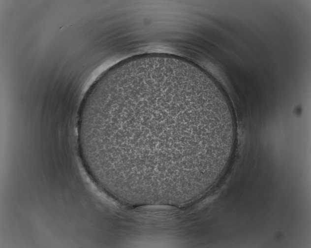 X0000116611133200912312112