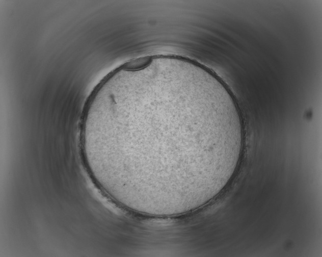 X0000116611134200912312112