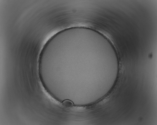 X0000116611135200912312112