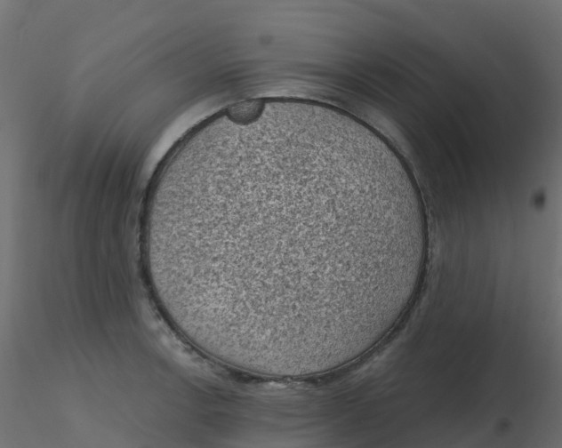 X0000116611138200912312112