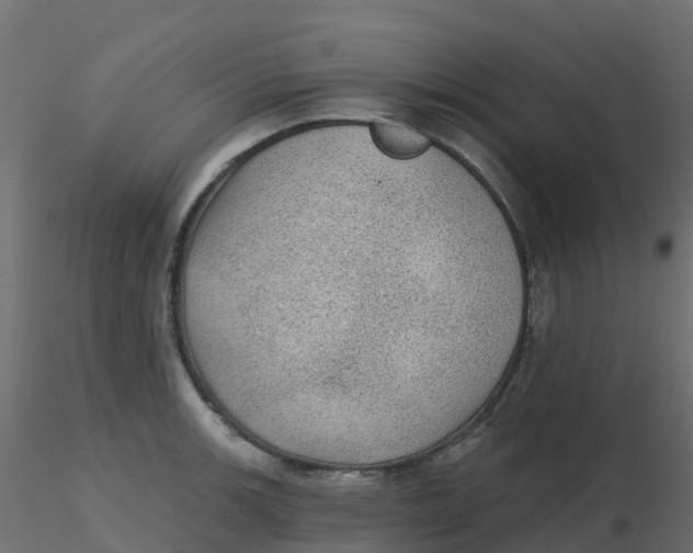 X0000116611139200912312112