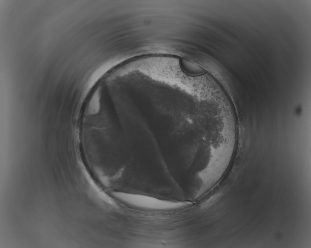 X0000116611141200912312112