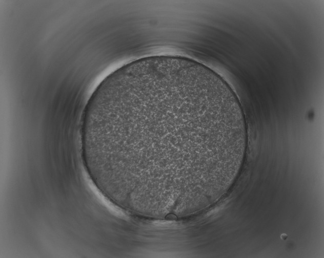 X0000116611142200912312112