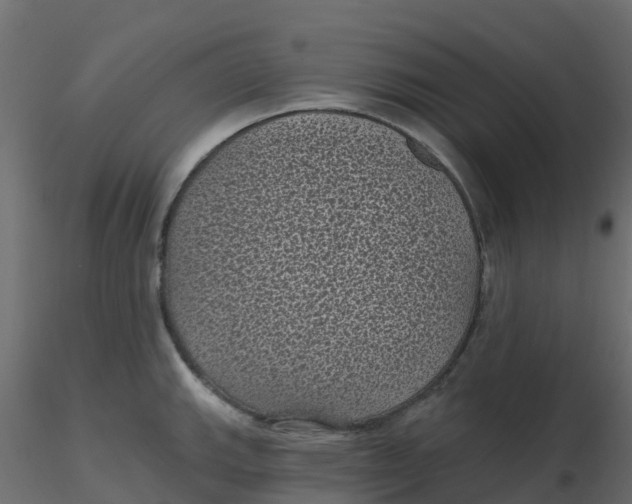 X0000116611143200912312112