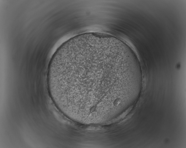 X0000116611146200912312112