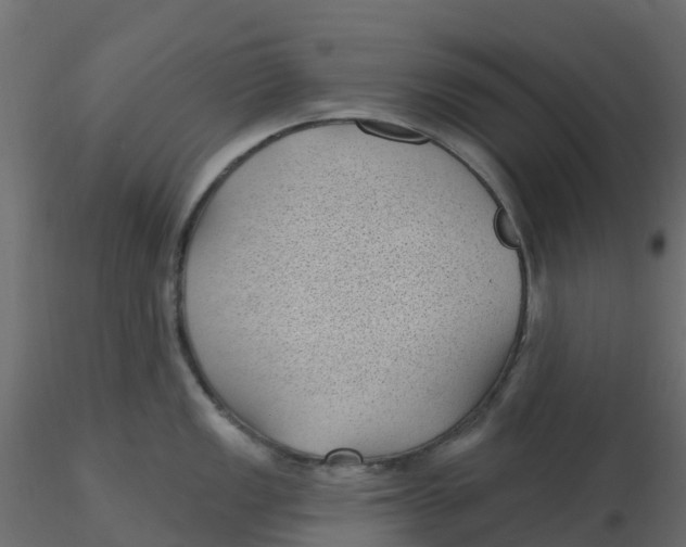 X0000116611149200912312112