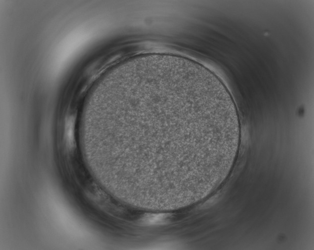 X0000116611150200912312112