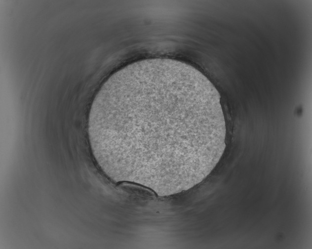 X0000116611153200912312112