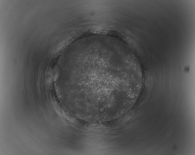 X0000116611154200912312112