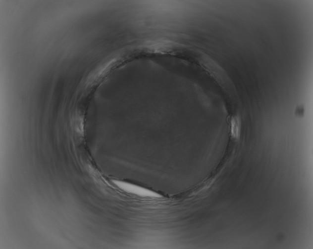 X0000116611155200912312112