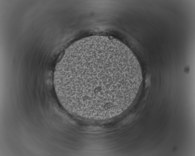 X0000116611156200912312112