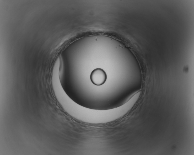 X0000116611157200912312112