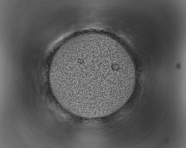 X0000116611159200912312112