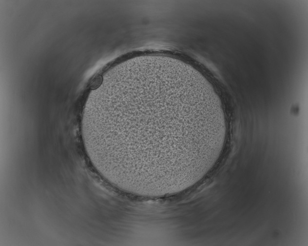 X0000116611160200912312112