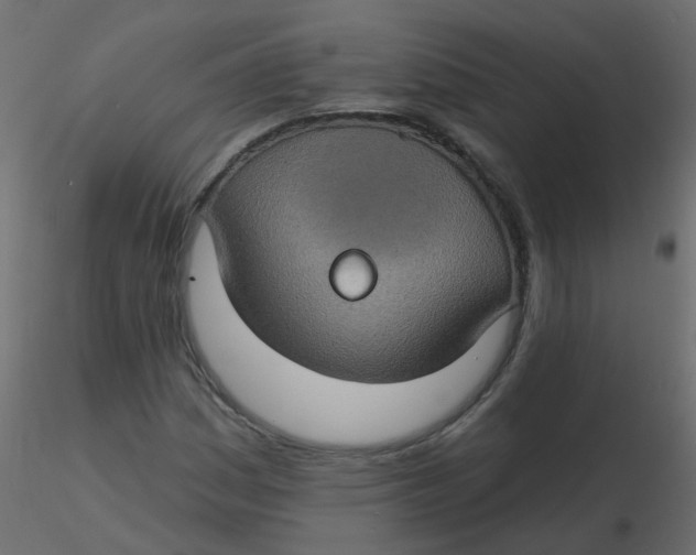 X0000116611161200912312112