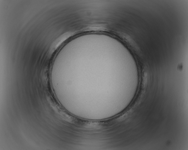 X0000116611162200912312112