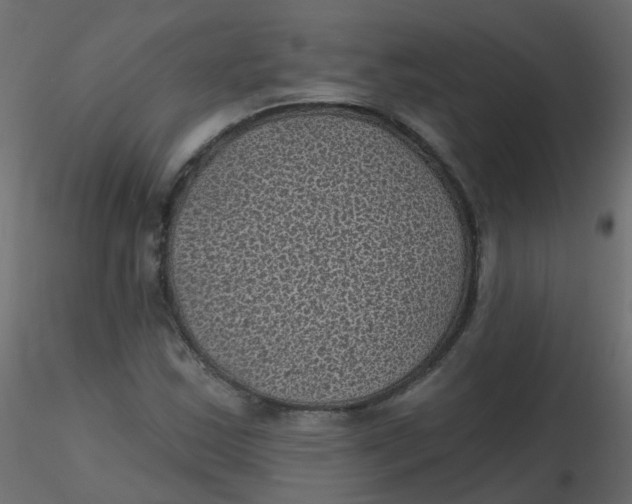 X0000116611163200912312112