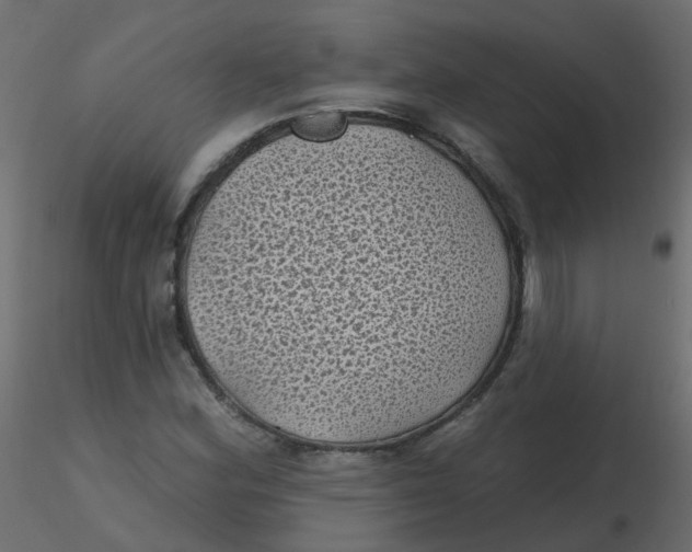 X0000116611164200912312112