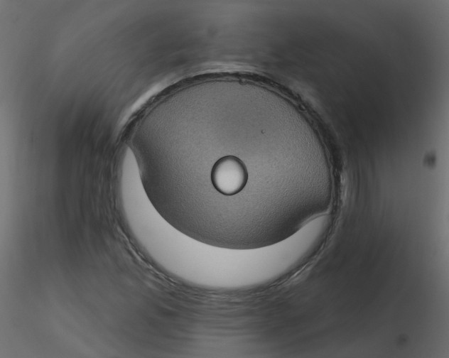 X0000116611165200912312112