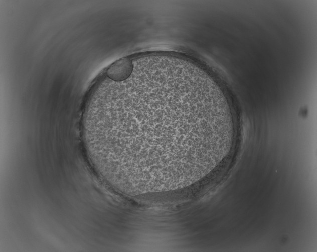 X0000116611166200912312112