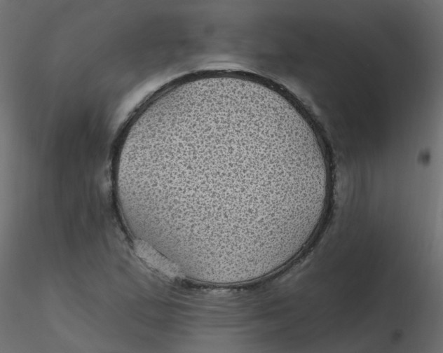 X0000116611167200912312112