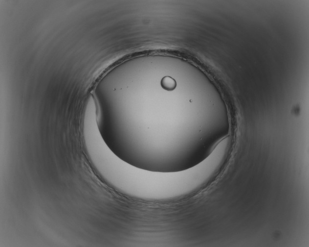 X0000116611169200912312112