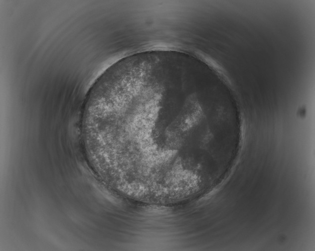 X0000116611170200912312112