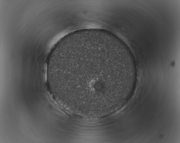 X0000116611171200912312112