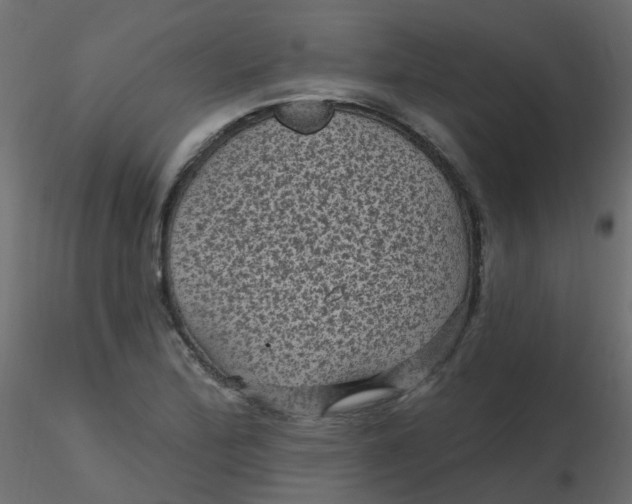 X0000116611172200912312112