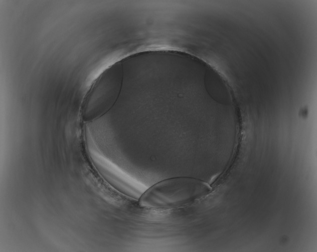 X0000116611173200912312112