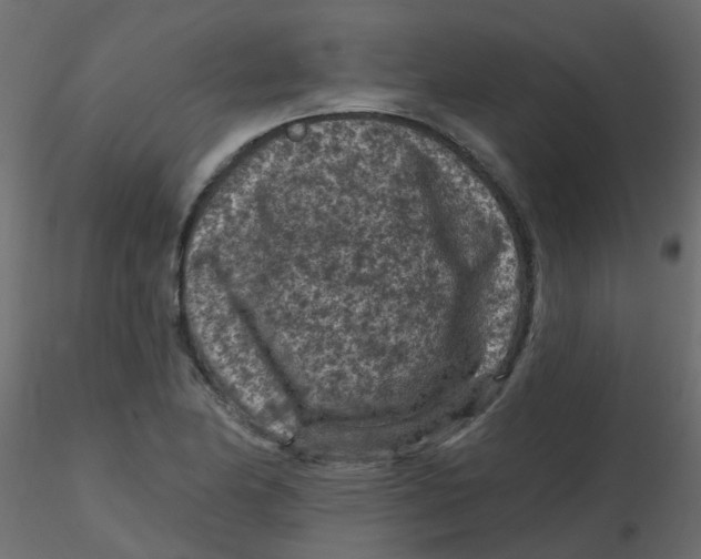 X0000116611174200912312112