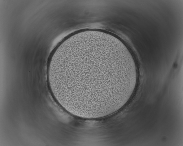 X0000116611176200912312111