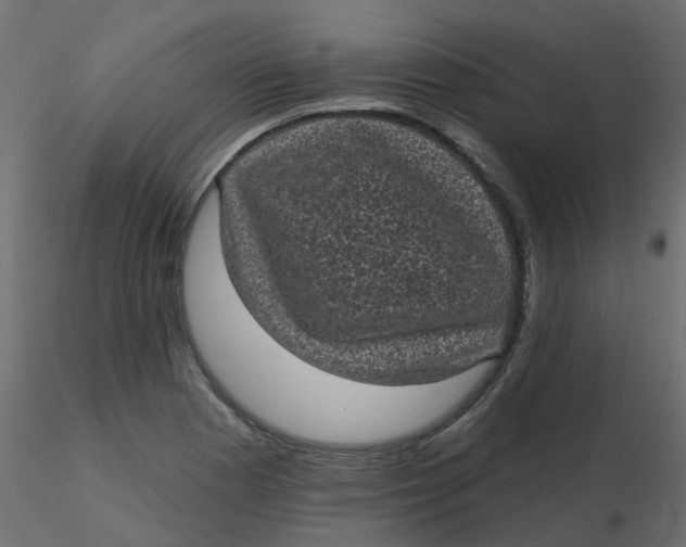 X0000116611177200912312111