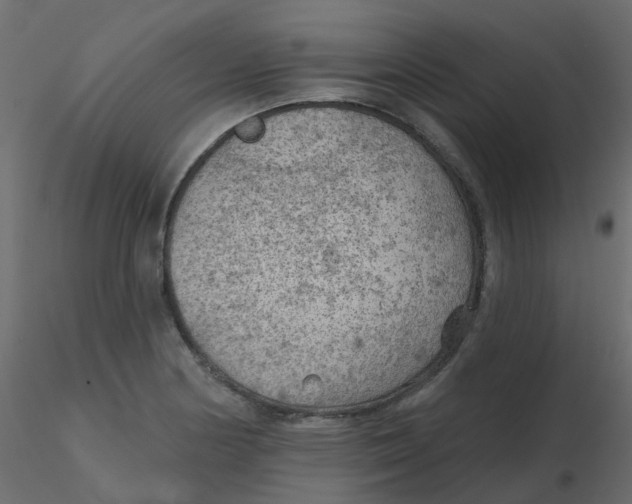 X0000116611178200912312111