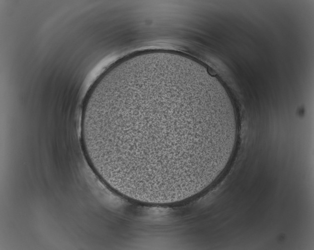 X0000116611180200912312111