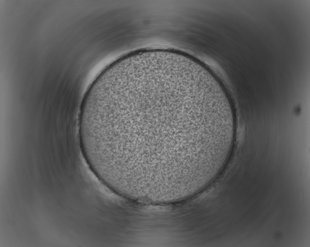 X0000116611183200912312111