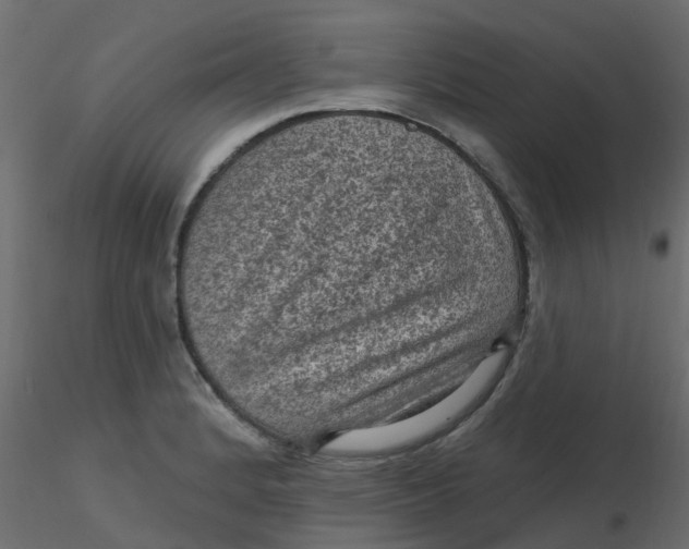 X0000116611184200912312111